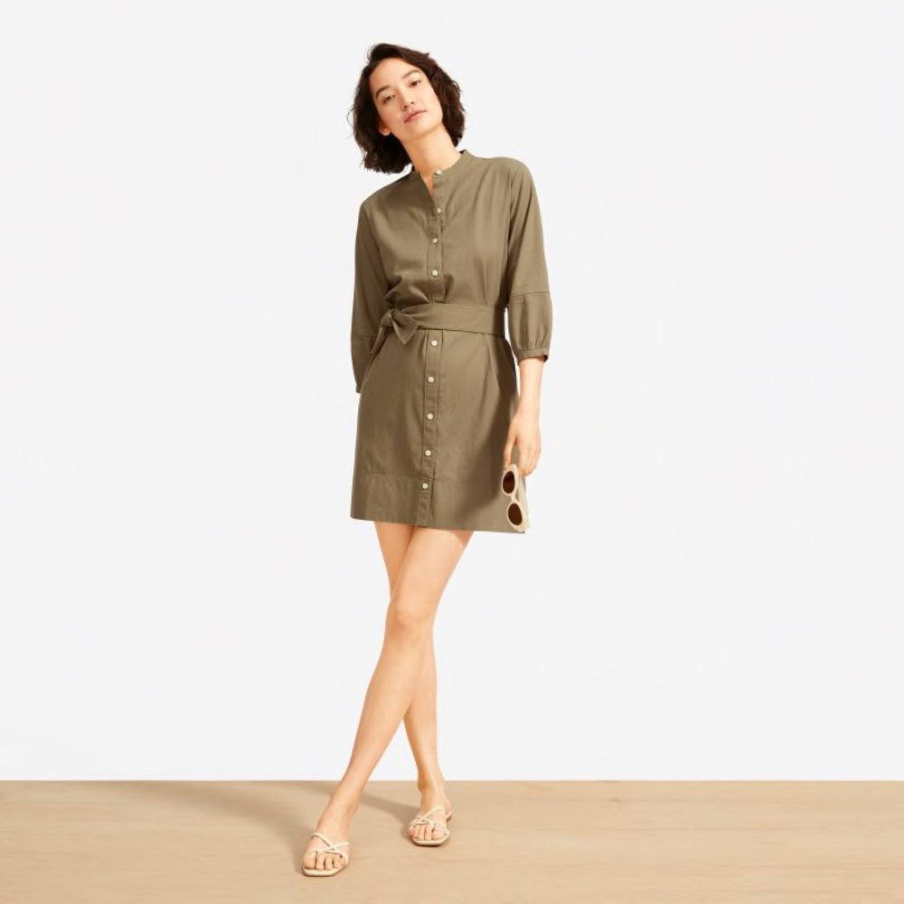 Everlane Cotton Weave Collarless Shirtdress Size 4